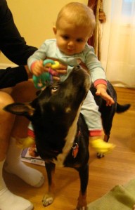 Younger Abby riding Callie 