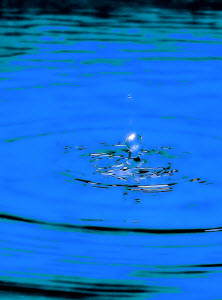 ripples