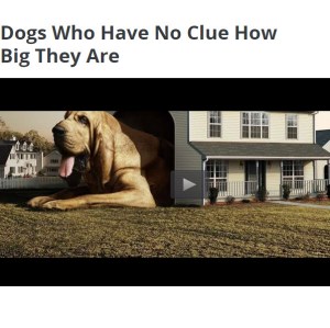 For an example of a terrible slideshow-type online "article," check out this one on answers.com